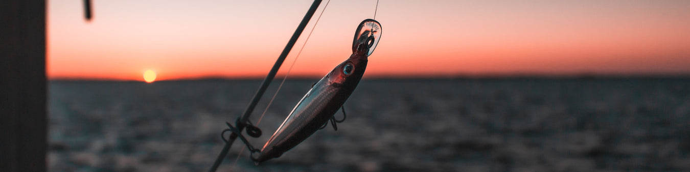 Leurres pour la pêche||Fishing Lures