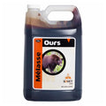 Liquid molass for bears - 5kg