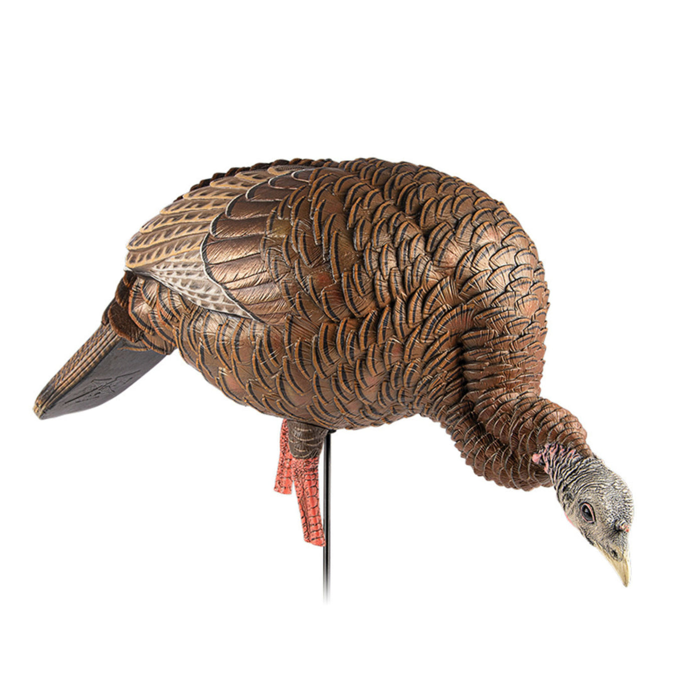 Wild Turkey Hunting Equipment