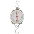 Mechanical hanging scale