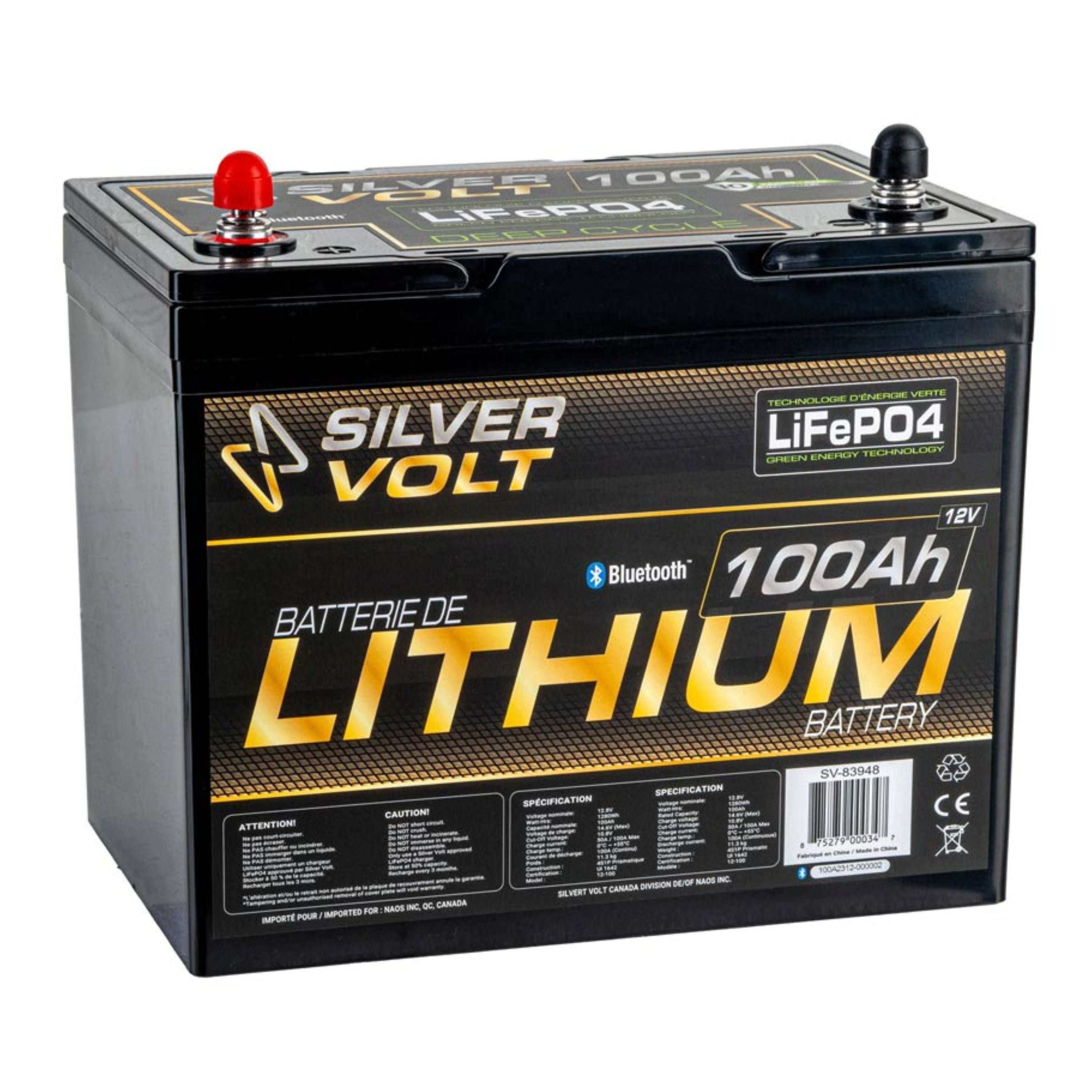 "LiFePO4" Rechargeable Lithium battery - 100 A