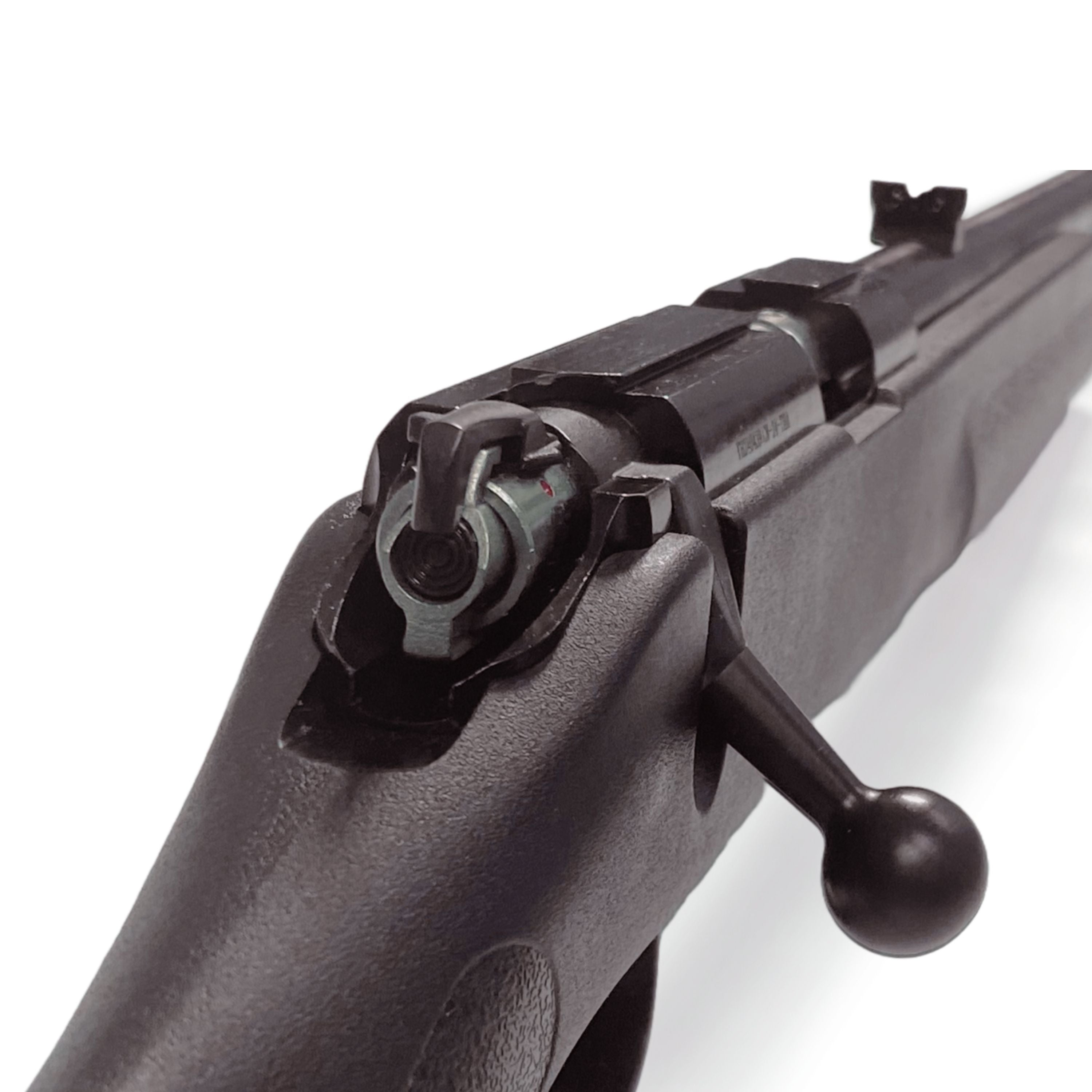 .22 LR bolt action rifle with scope