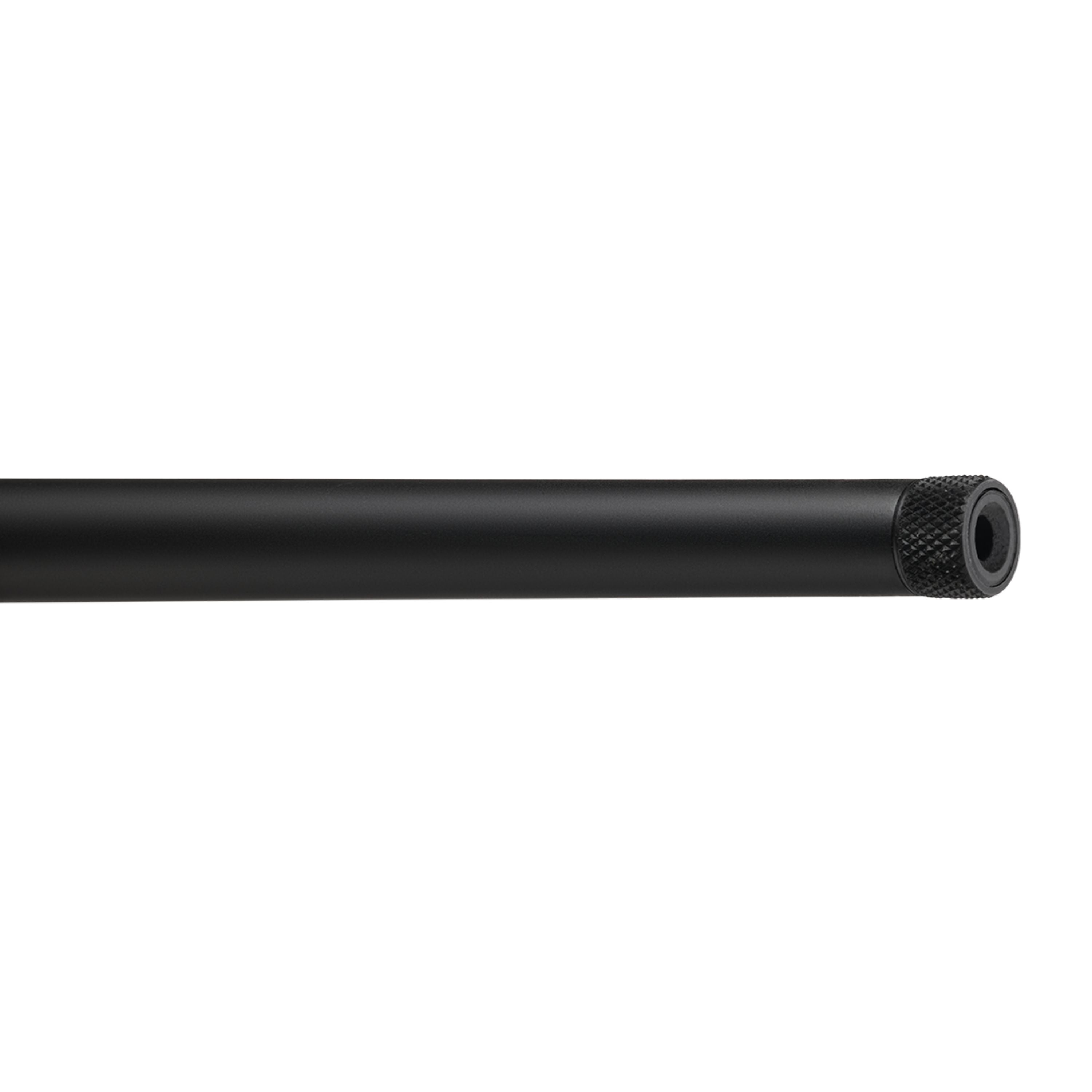 Carabine semi-automatique "RXR22" cal. 22LR avec télescope Buckner