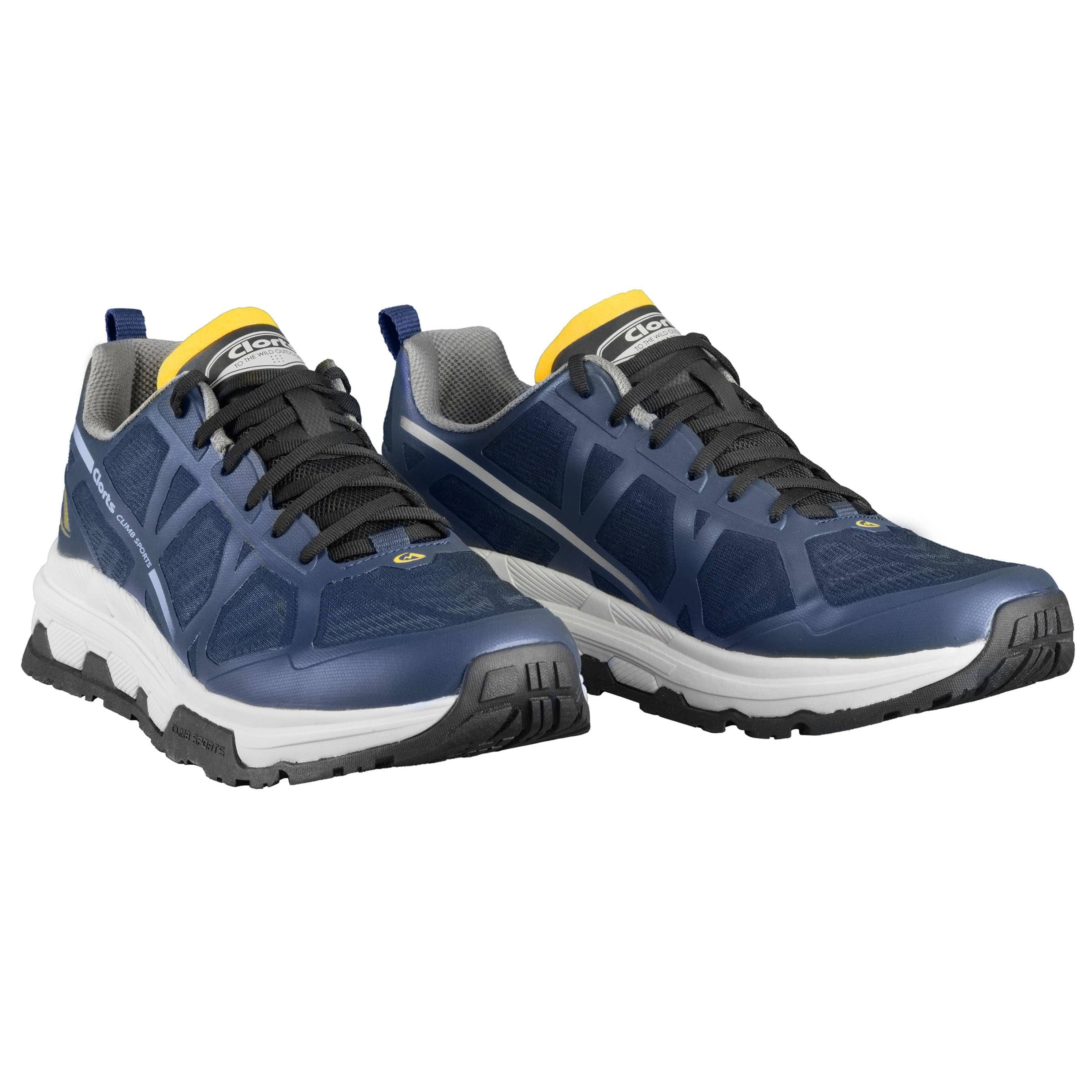 Chaussures de randonnée