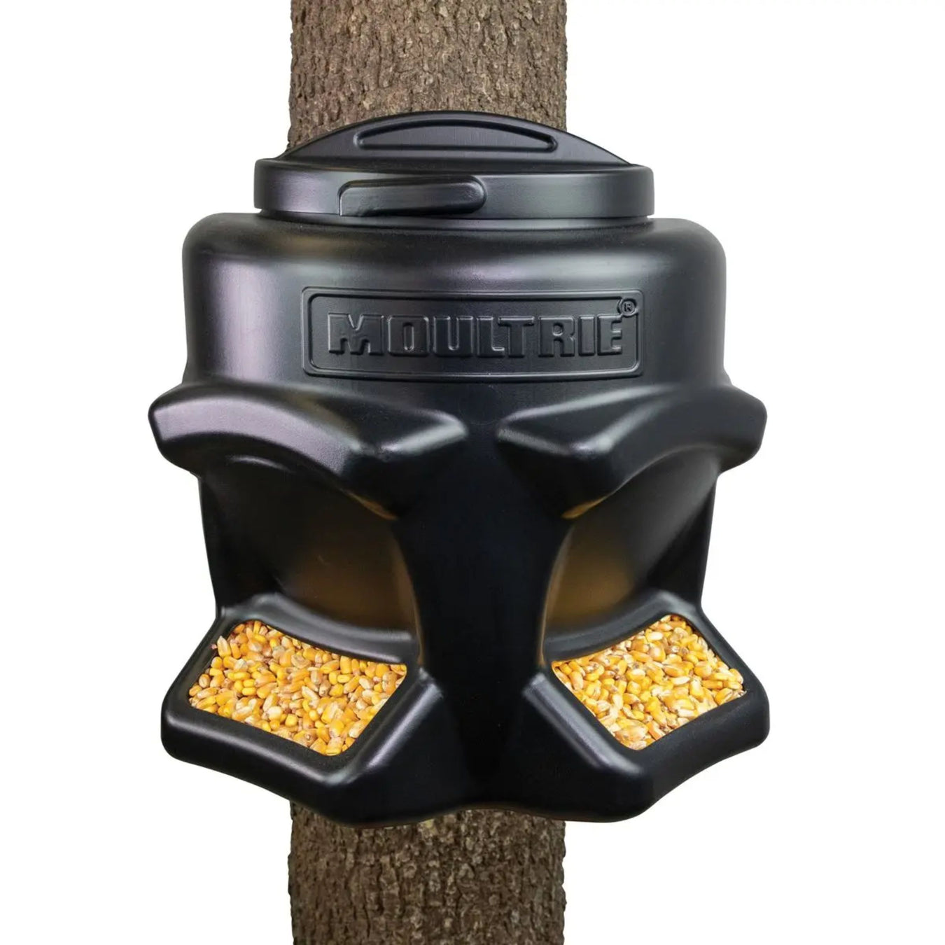 Moultrie