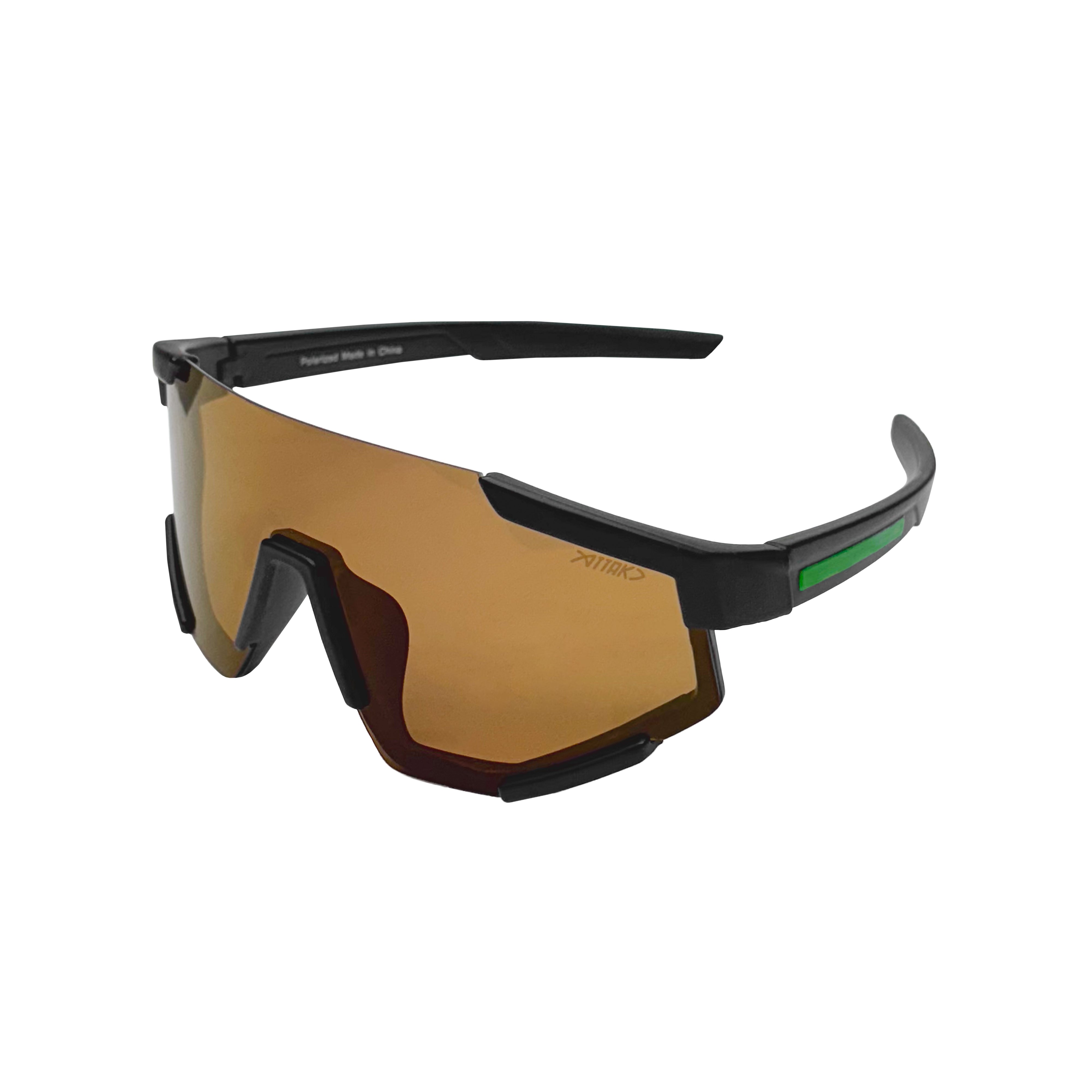 "Proview" Polarized sunglasses