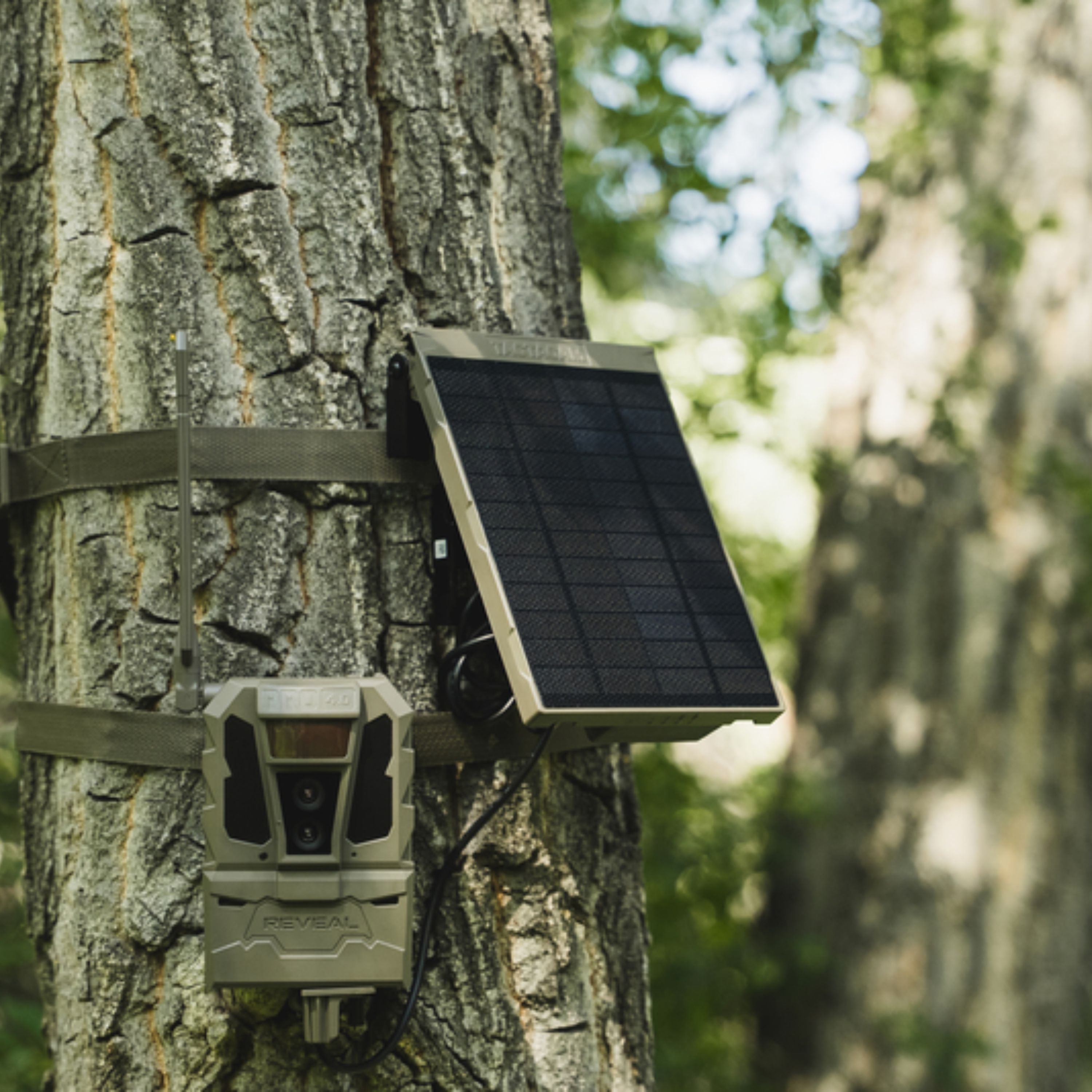 « R5 » Solar panel