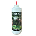 Menthe sauvage
