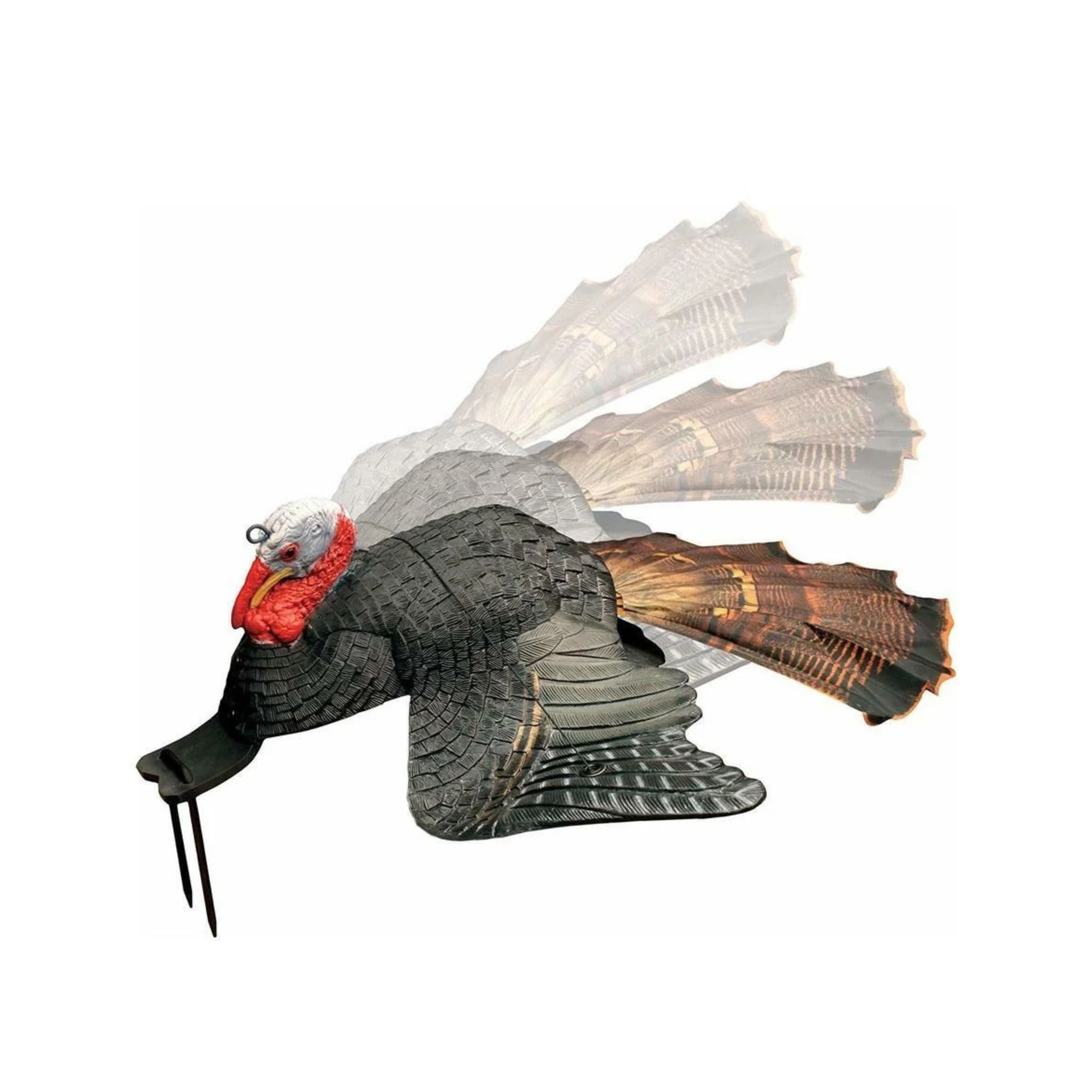 "Dirty bird" Injured gobbler decoy