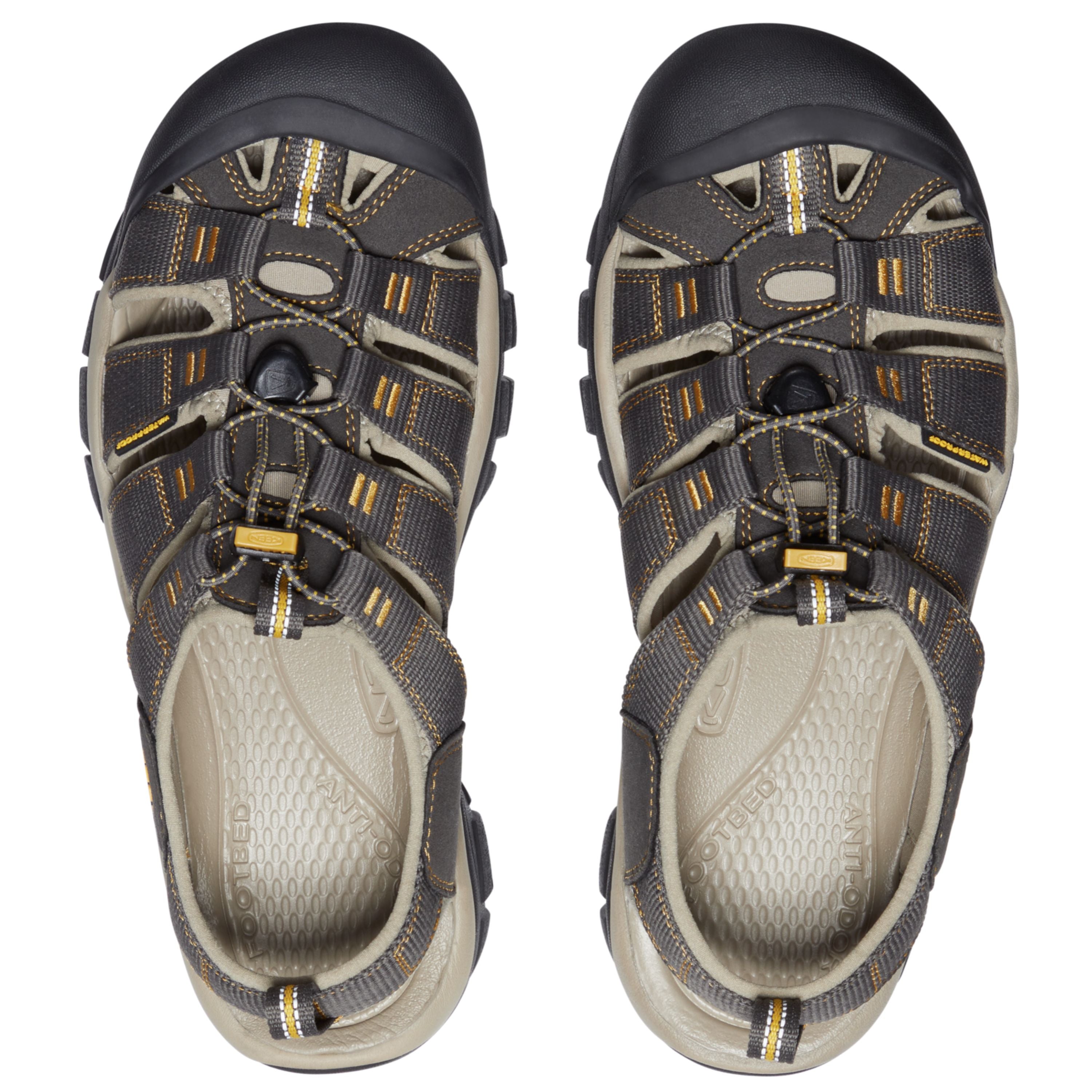 "Newport H2" Sandals - Men's